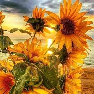 Meet your Posher, Cathleen